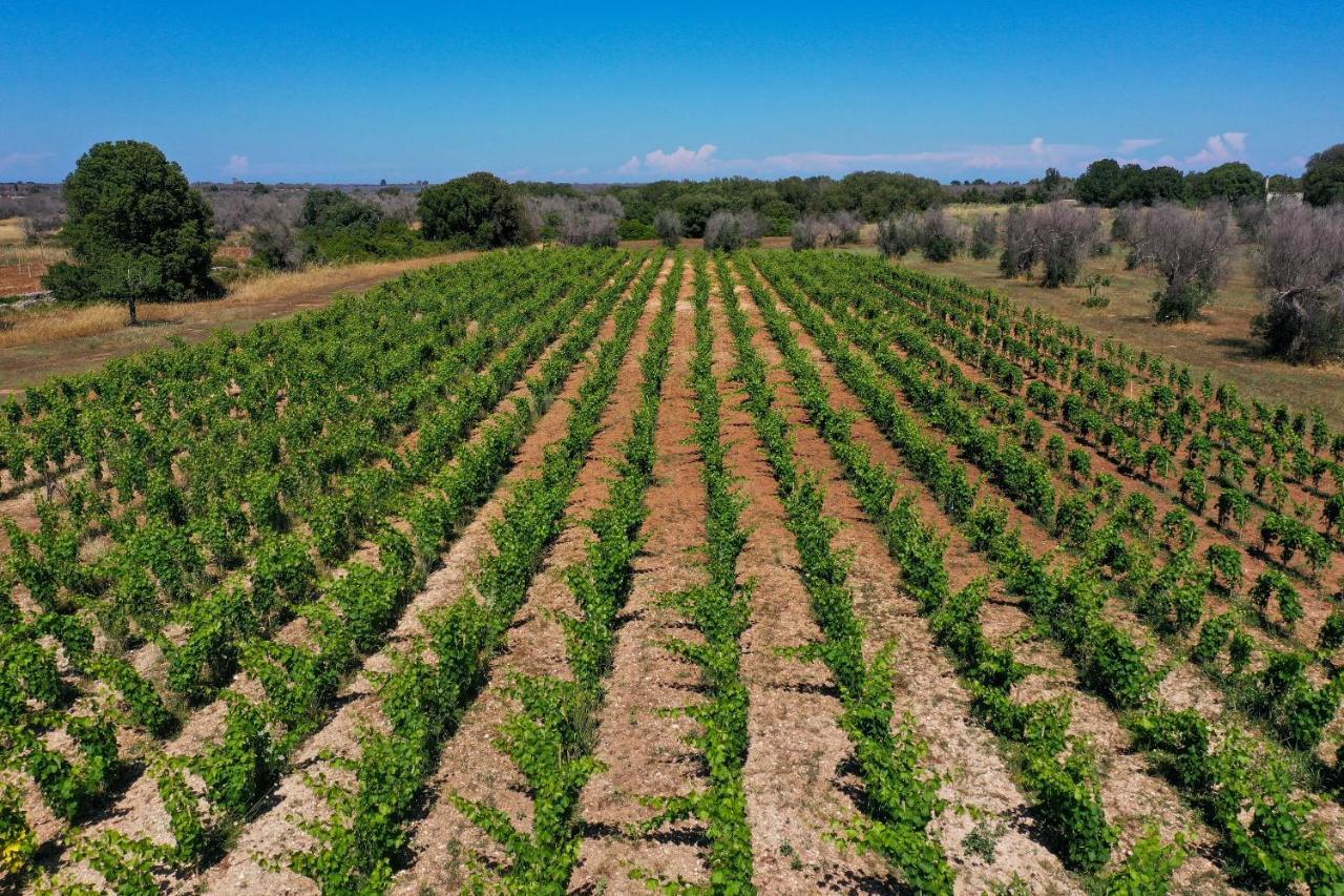 Masseria Lilei Lizzanello Ngoại thất bức ảnh