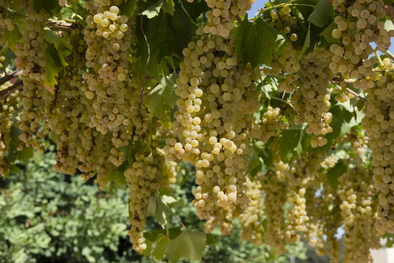 Masseria Lilei Lizzanello Ngoại thất bức ảnh