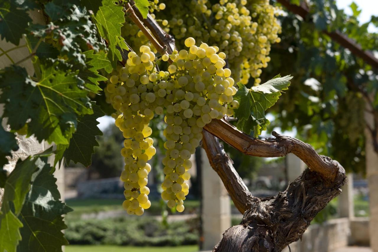 Masseria Lilei Lizzanello Ngoại thất bức ảnh